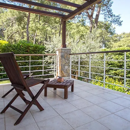 Goecek Vineyard Villas Villa Fethiye